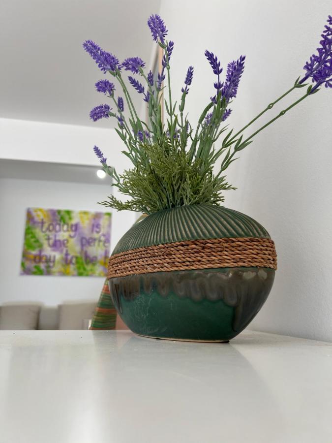 Casa Vacanze Lavanda Menton Exteriér fotografie